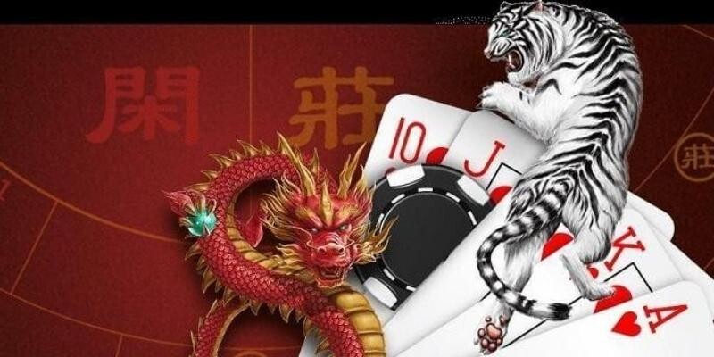 3 hình thức cược Rồng hổ